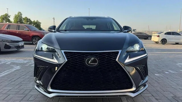 2020 Lexus NX 300 2.0T AWD, photo 1 of 10